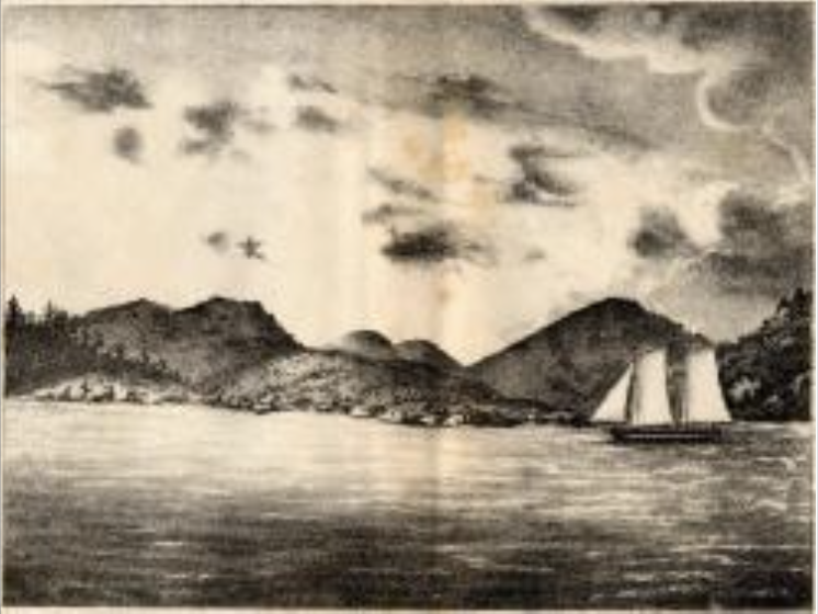 This is a test article about something